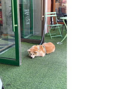 蛋糕店门口休息的修勾勾