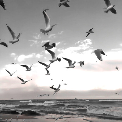 
旋转几、轮convertirse en nosotros深い指紋&