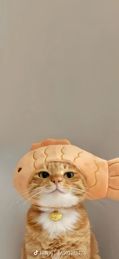 黄色