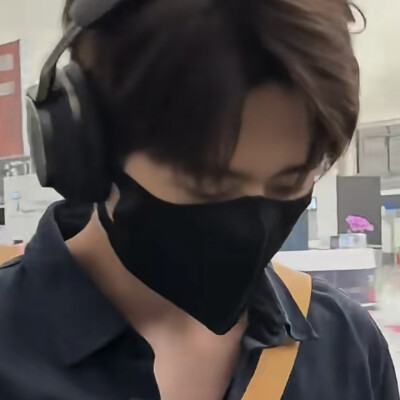 磊