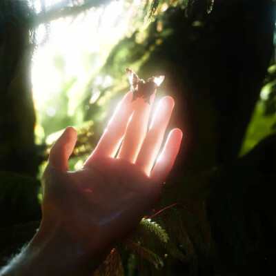 
聆听绿野物语的爱意，表达一场旅途的邂逅
