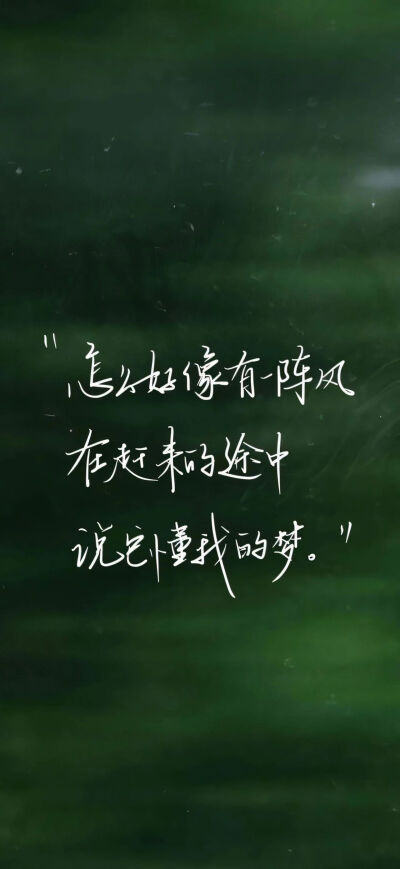 壁纸