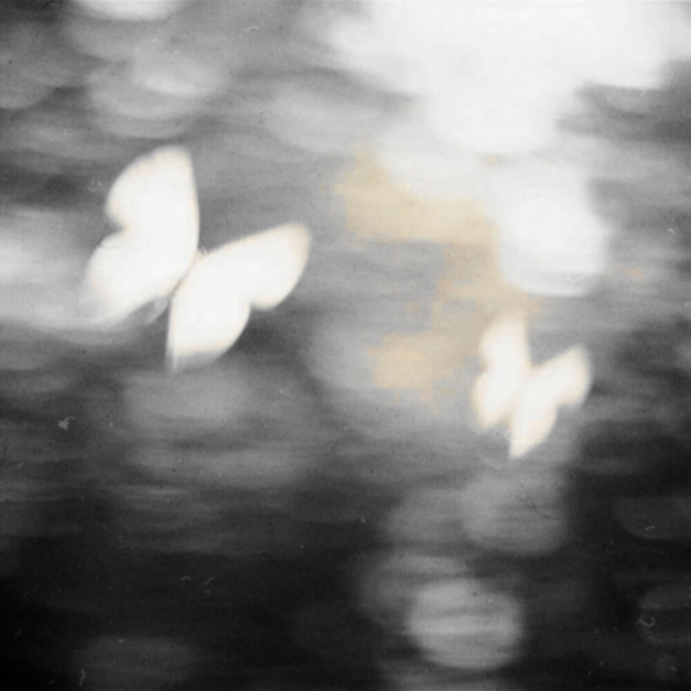 被沈亓璇宠幸了