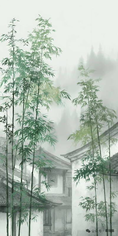 壁纸