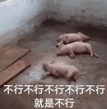 表情包