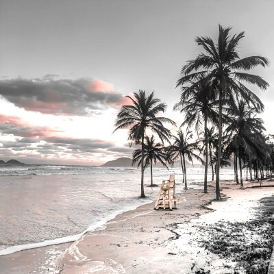 
旋转几、轮convertirse en nosotros深い指紋&