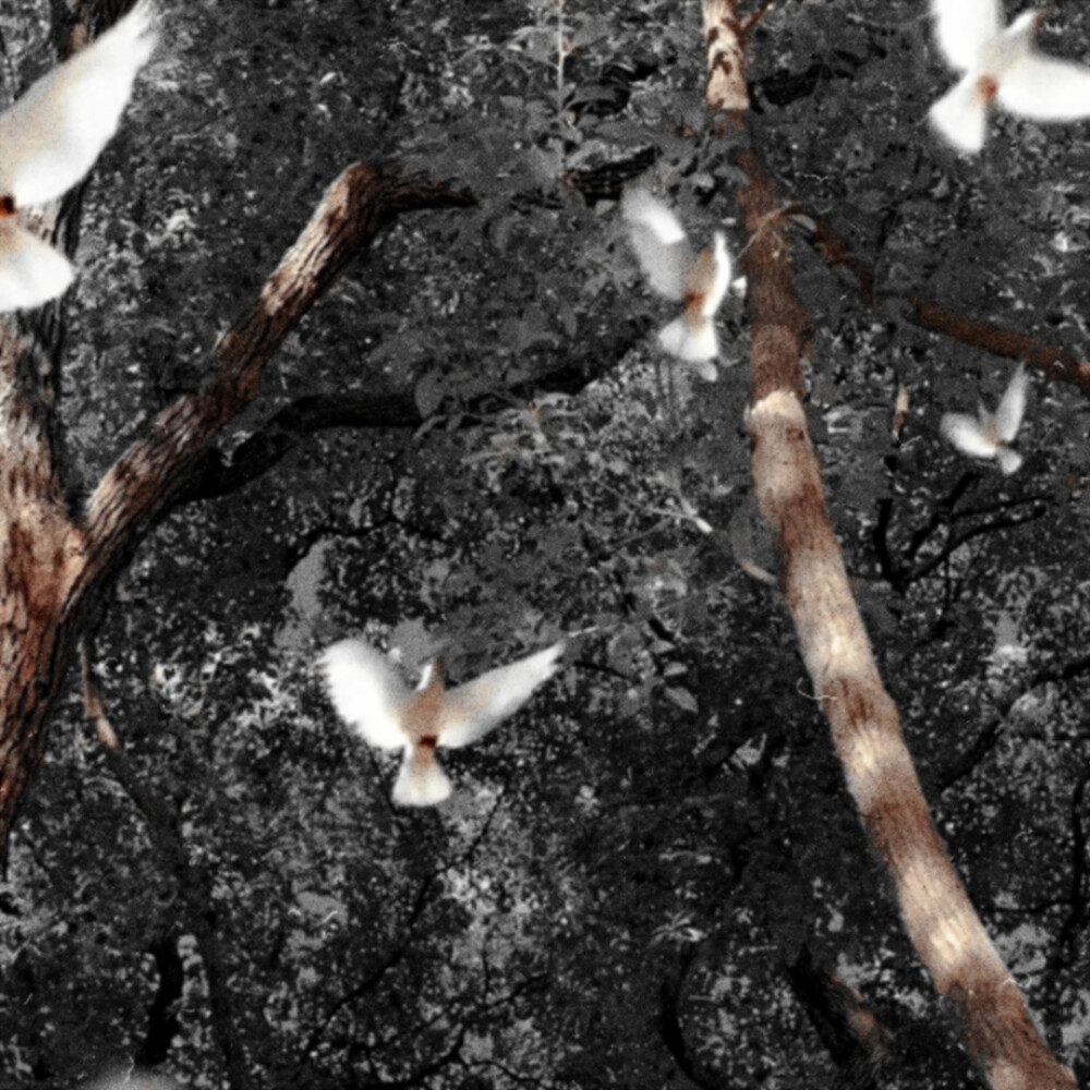 被沈亓璇宠幸了