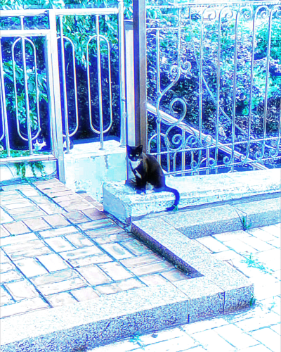 * Gradually drifting away"–차가운 바다...
孙胜完Wendy 文案田赴