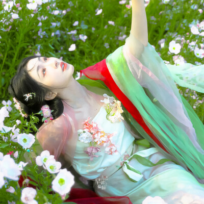 杨肸子