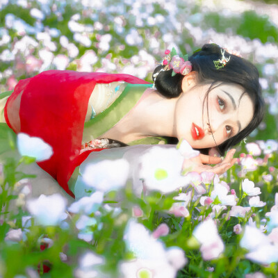 杨肸子