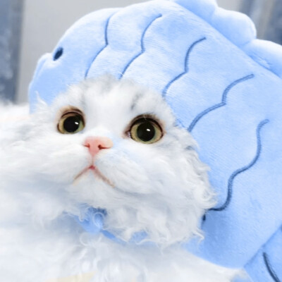 ⋆.˚⋆✮⋆.˚☆⋆｡°‧★