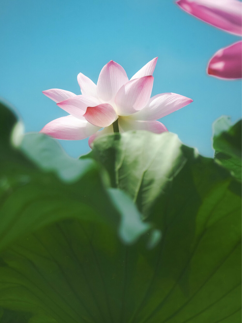 。