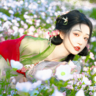 杨肸子