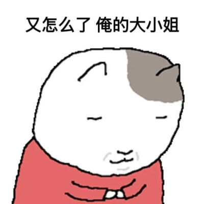 表情包