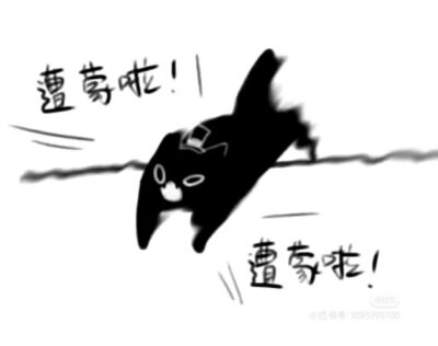 克猫猫表情包