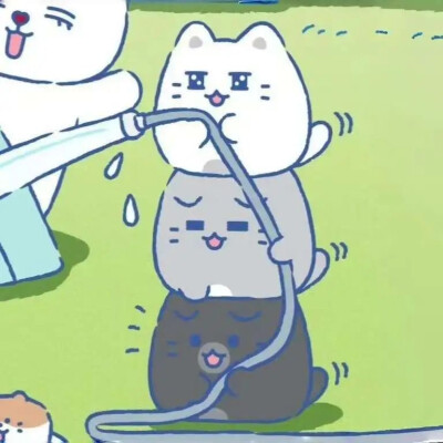 佑灰