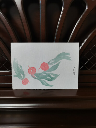 49 水红萝卜（绘画 | 水彩 | 果花甘04）
2018.6.14
水红萝卜，是一种小小的红萝卜，也叫小红萝卜。
圣女果大小的个头，外表明艳艳地红着，有的是偏冷色的玫红，有的是明亮的朱红，内里是晶莹的白，像玉。水红萝卜，…