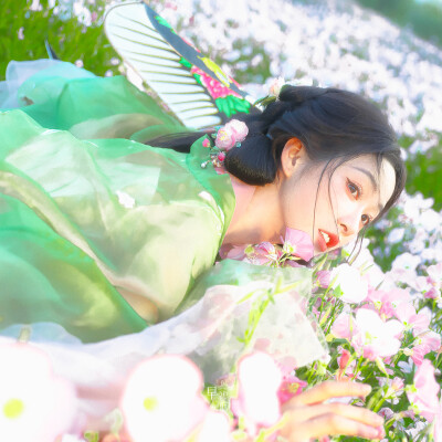 杨肸子