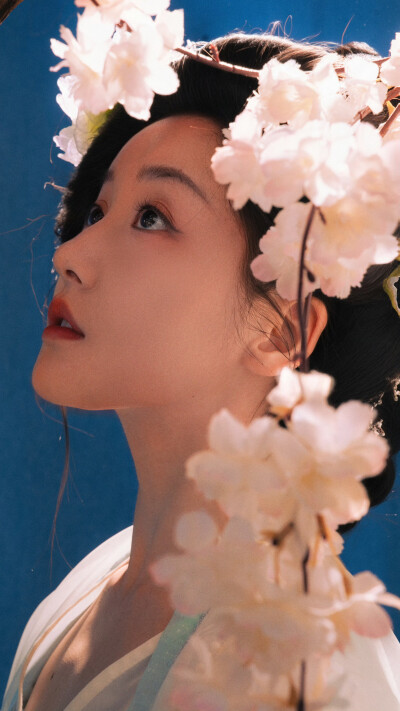 姜贞羽