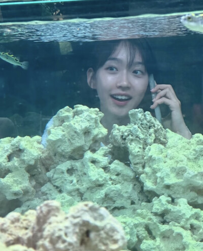 韩智贤