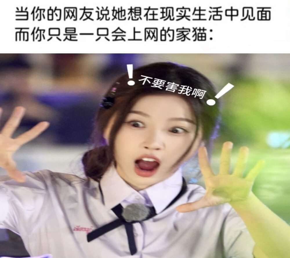 我一直在哭，我的堆糖好像坏了