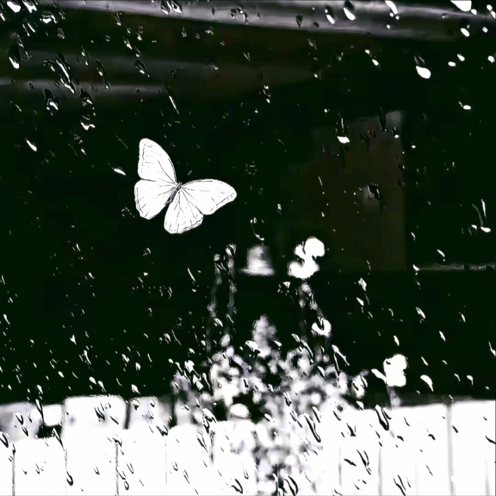 背景