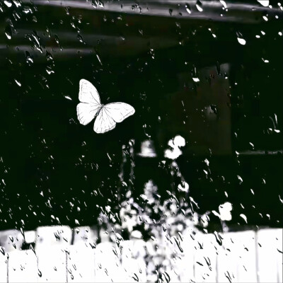 背景