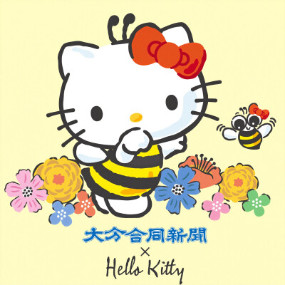 『kitty三丽鸥』头像▪壁纸