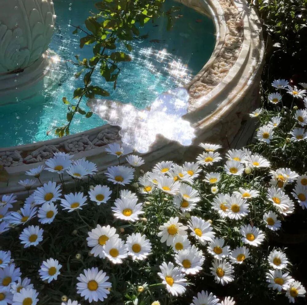 背景图