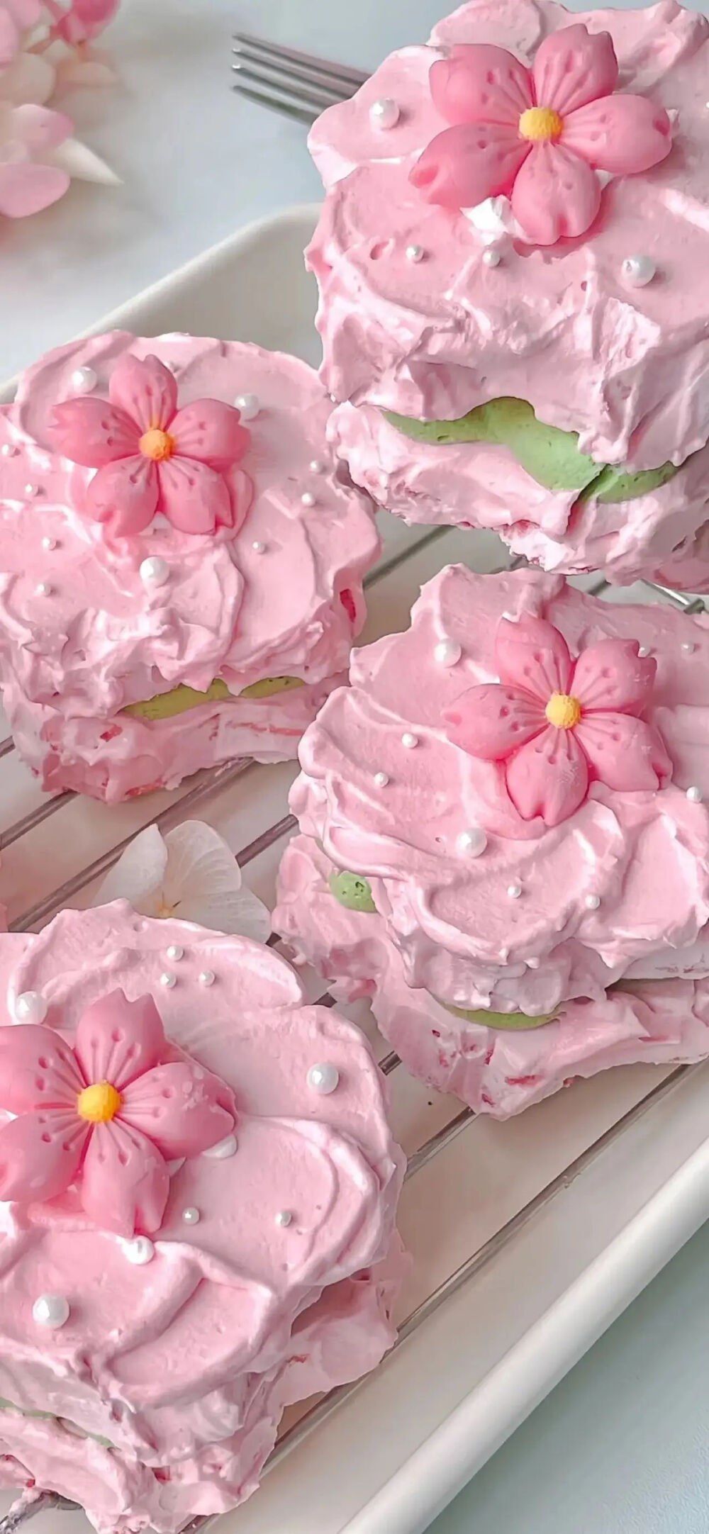 手机壁纸（图源网络侵删）