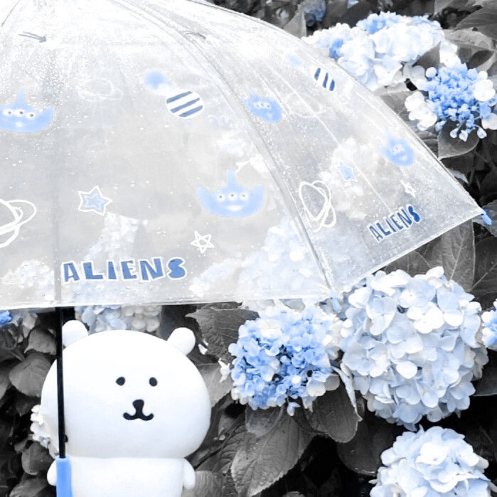 ⋆.˚⋆✮⋆.˚☆⋆｡°‧★