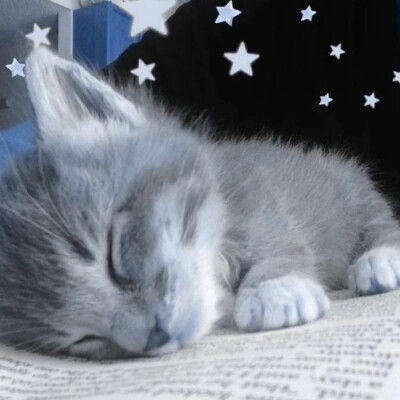 ⋆.˚⋆✮⋆.˚☆⋆｡°‧★