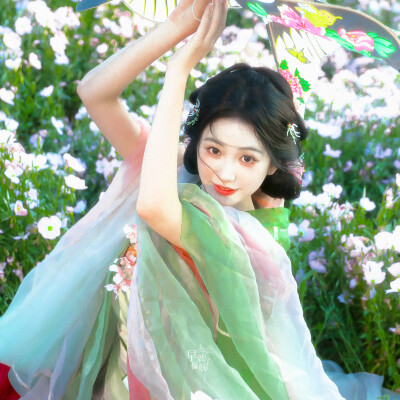 杨肸子