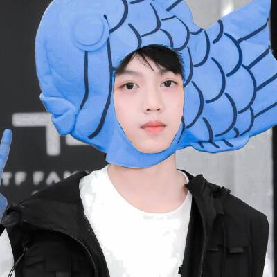 ⋆.˚⋆✮⋆.˚☆⋆｡°‧★