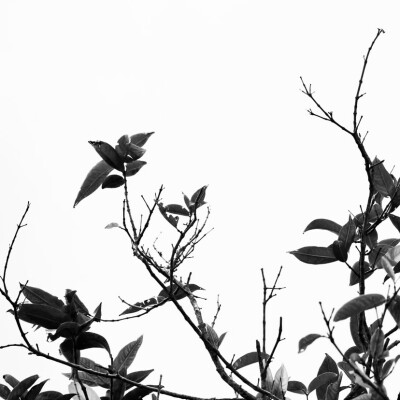 背景图