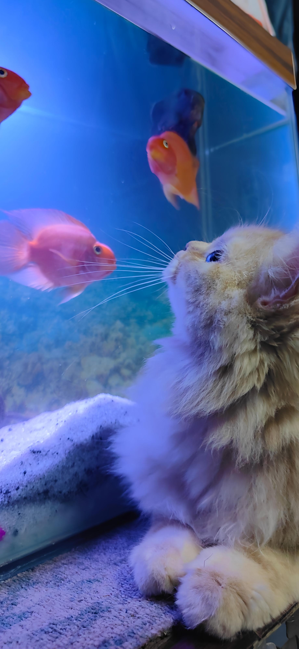 ‎#ليس قوة خارقة