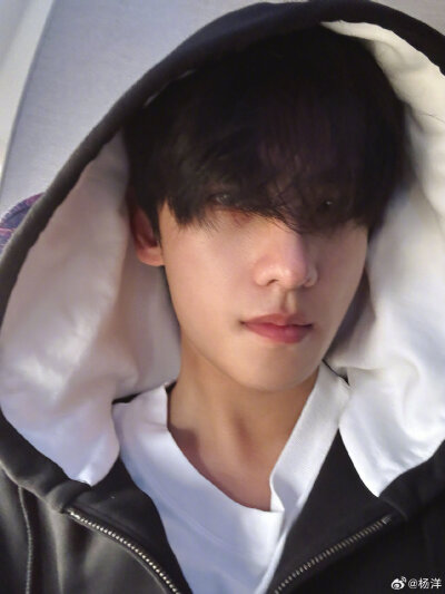 杨洋