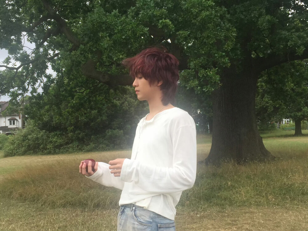 楷灿 solo
taste
crzy
nct
ins