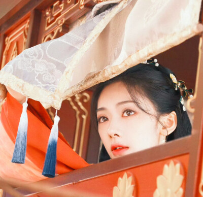 王影璐