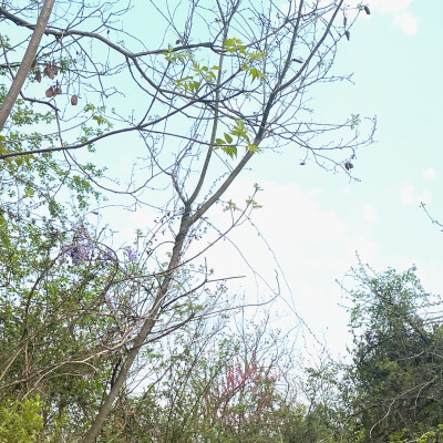  ☥•那天早上的雾散了，不止早上，不止雾 •☼
# 陈都灵☼