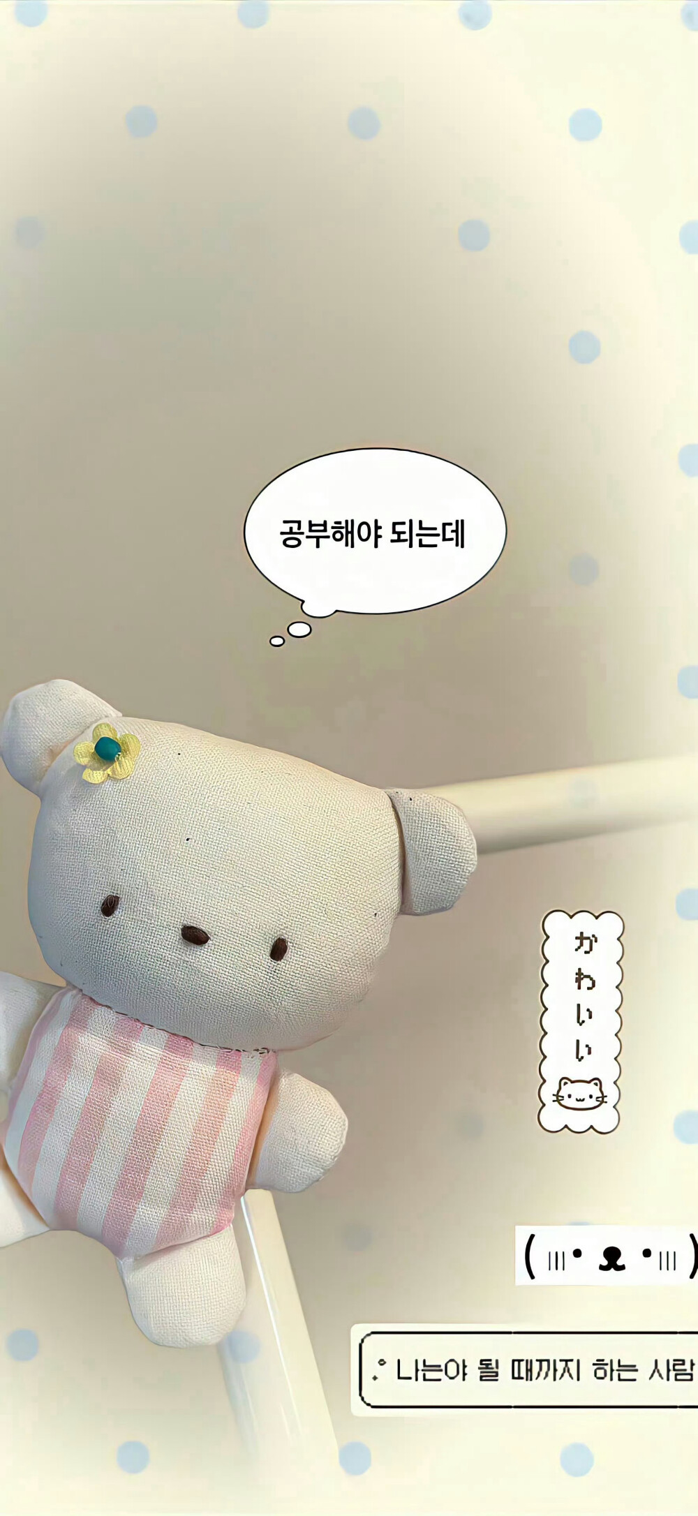 你很重要 每次分享日常都有你喔⌯⦁⩊⦁⌯ಣ