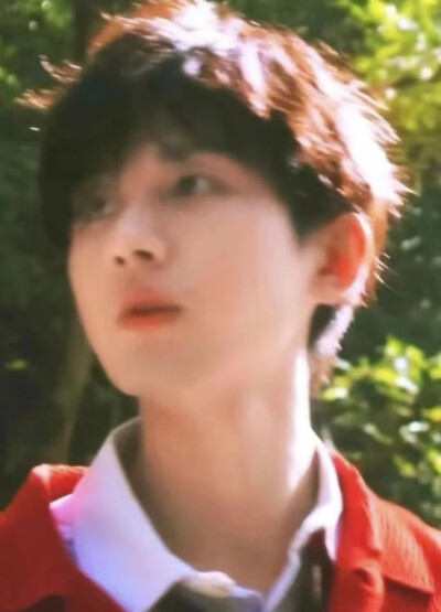 成毅