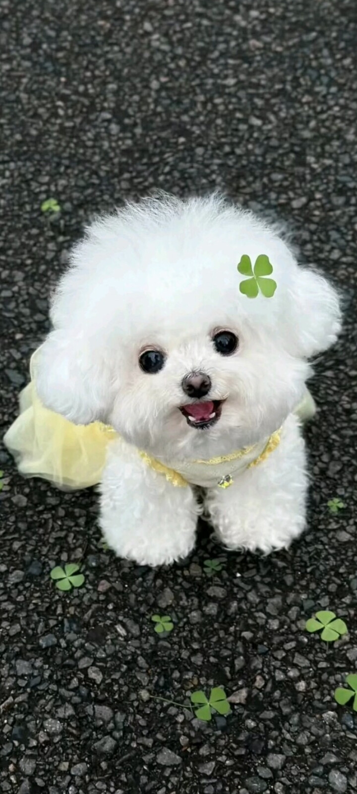 壁纸
