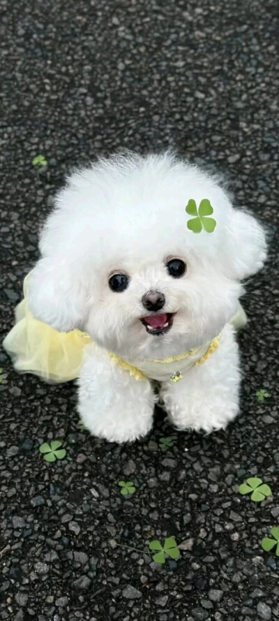 壁纸