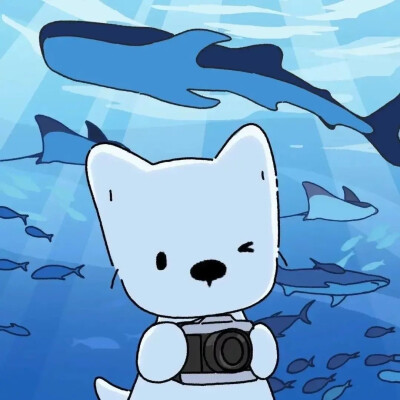 情头