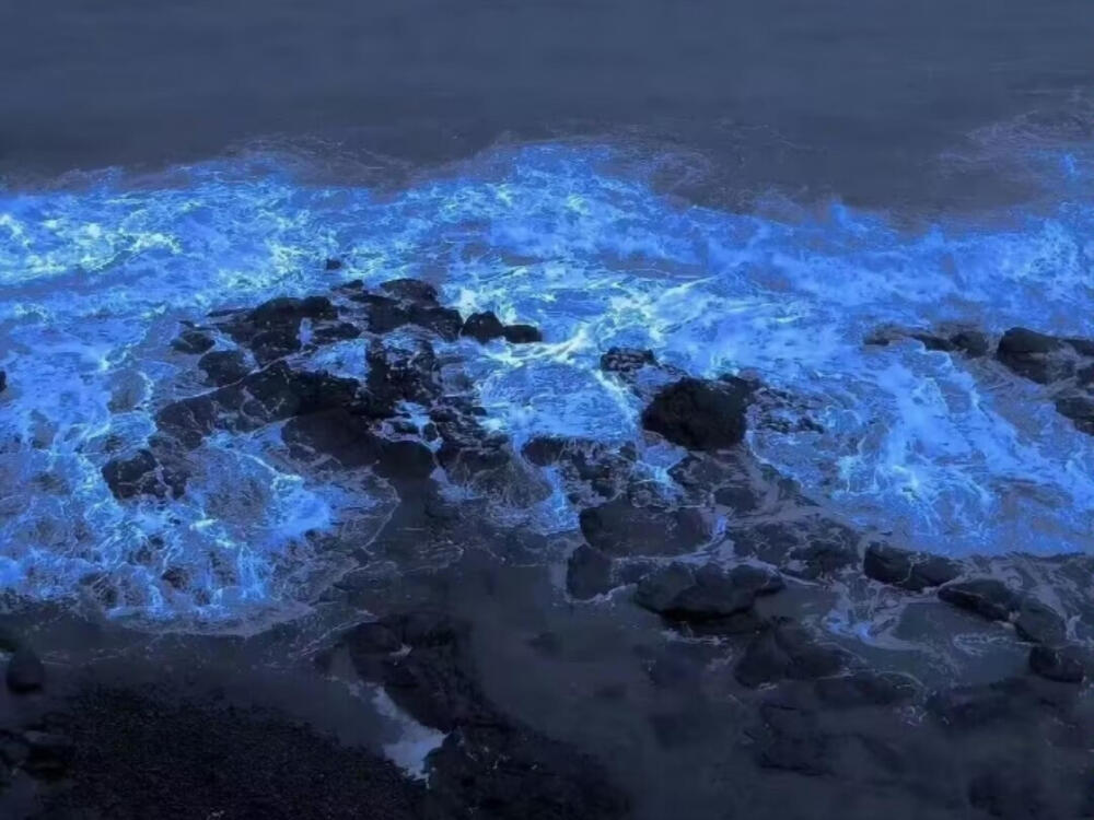 或许是遇见真爱