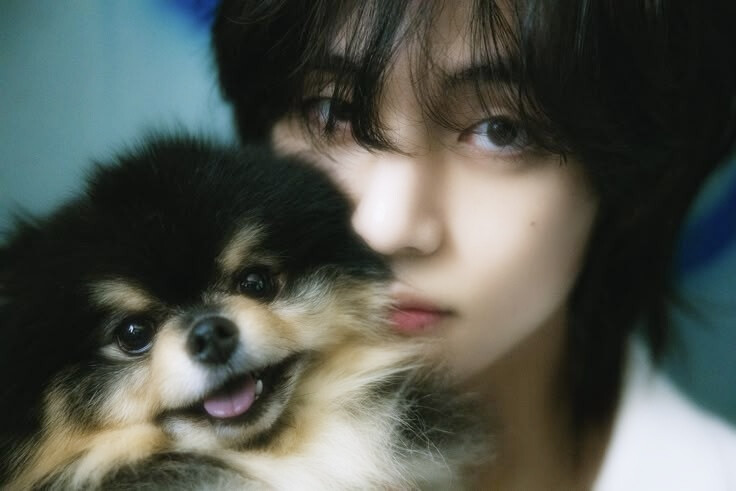 Blaue Äpfel in Erinnerung