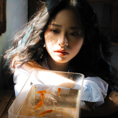 沈月