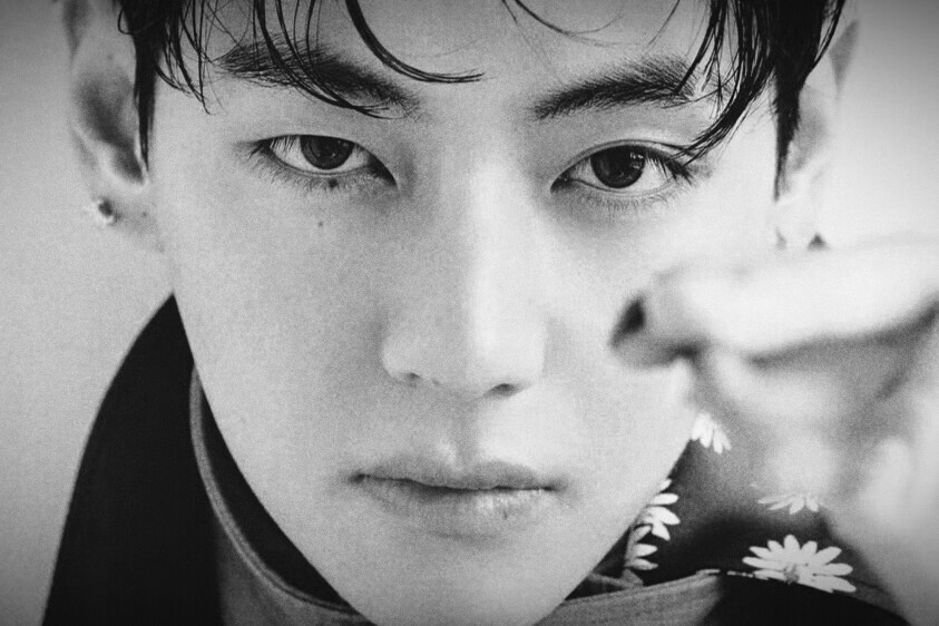 They wear refinement like a second skin, not as a display, but as a habit forged by generations