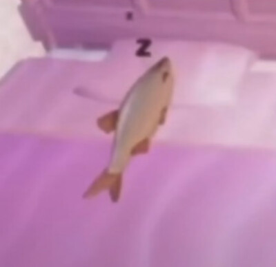 ：